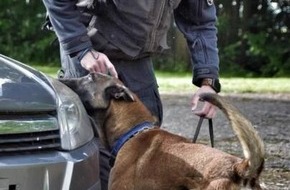 POL-OS: Banknotensp&uuml;rhunde erschn&uuml;ffeln &uuml;ber 110.000 Euro bei mehreren Durchsuchungen